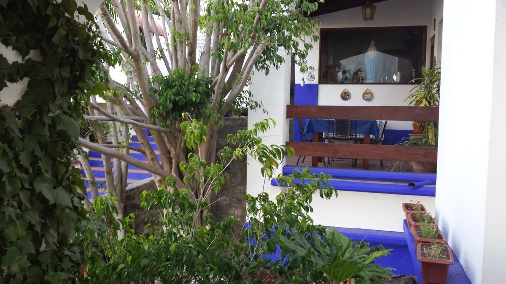 Quinta Los Arrayanes Hotel Ensenada Ngoại thất bức ảnh