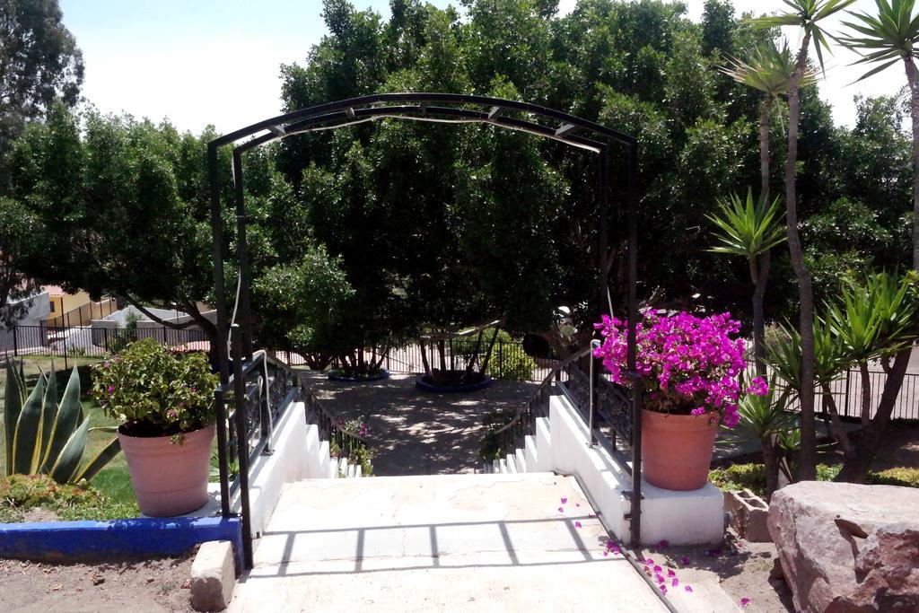 Quinta Los Arrayanes Hotel Ensenada Ngoại thất bức ảnh