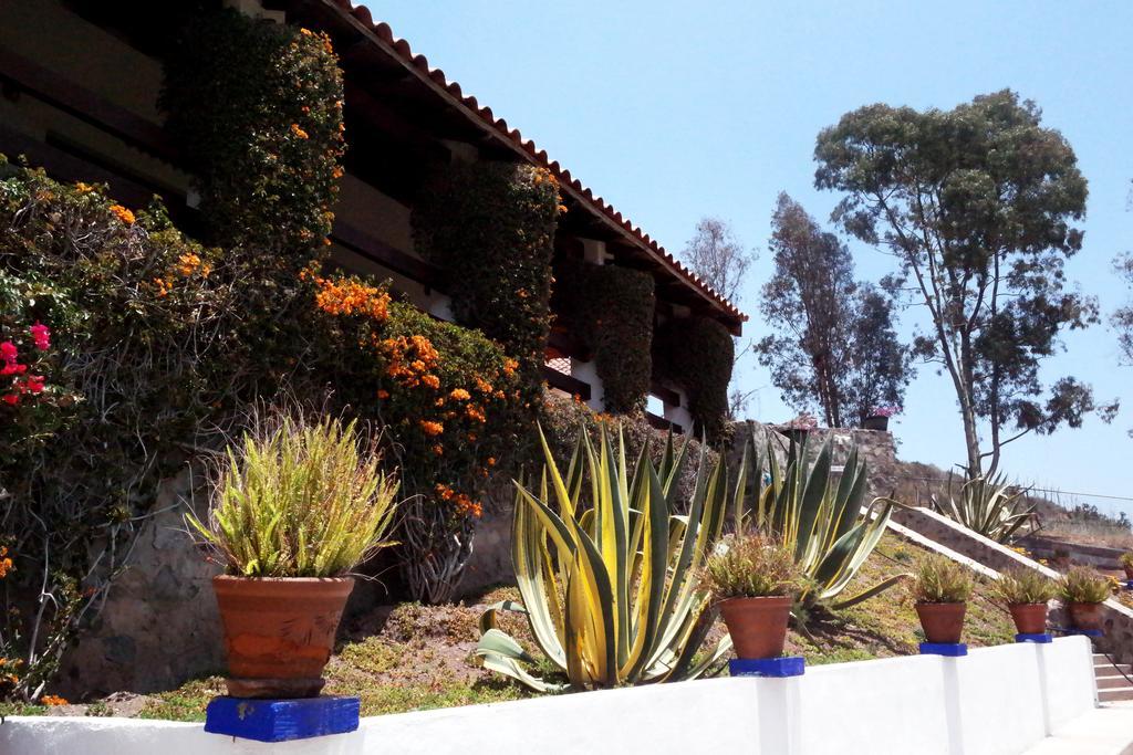 Quinta Los Arrayanes Hotel Ensenada Ngoại thất bức ảnh
