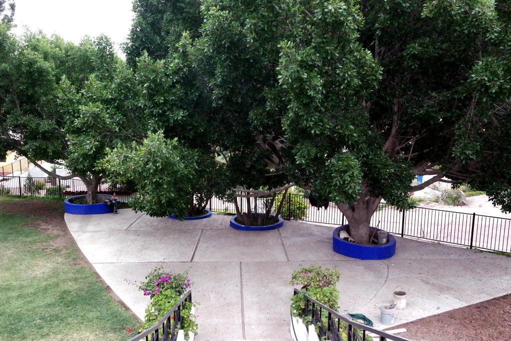 Quinta Los Arrayanes Hotel Ensenada Ngoại thất bức ảnh