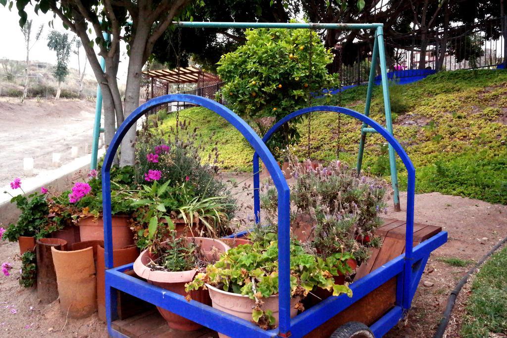 Quinta Los Arrayanes Hotel Ensenada Ngoại thất bức ảnh