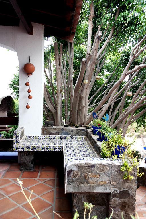Quinta Los Arrayanes Hotel Ensenada Ngoại thất bức ảnh